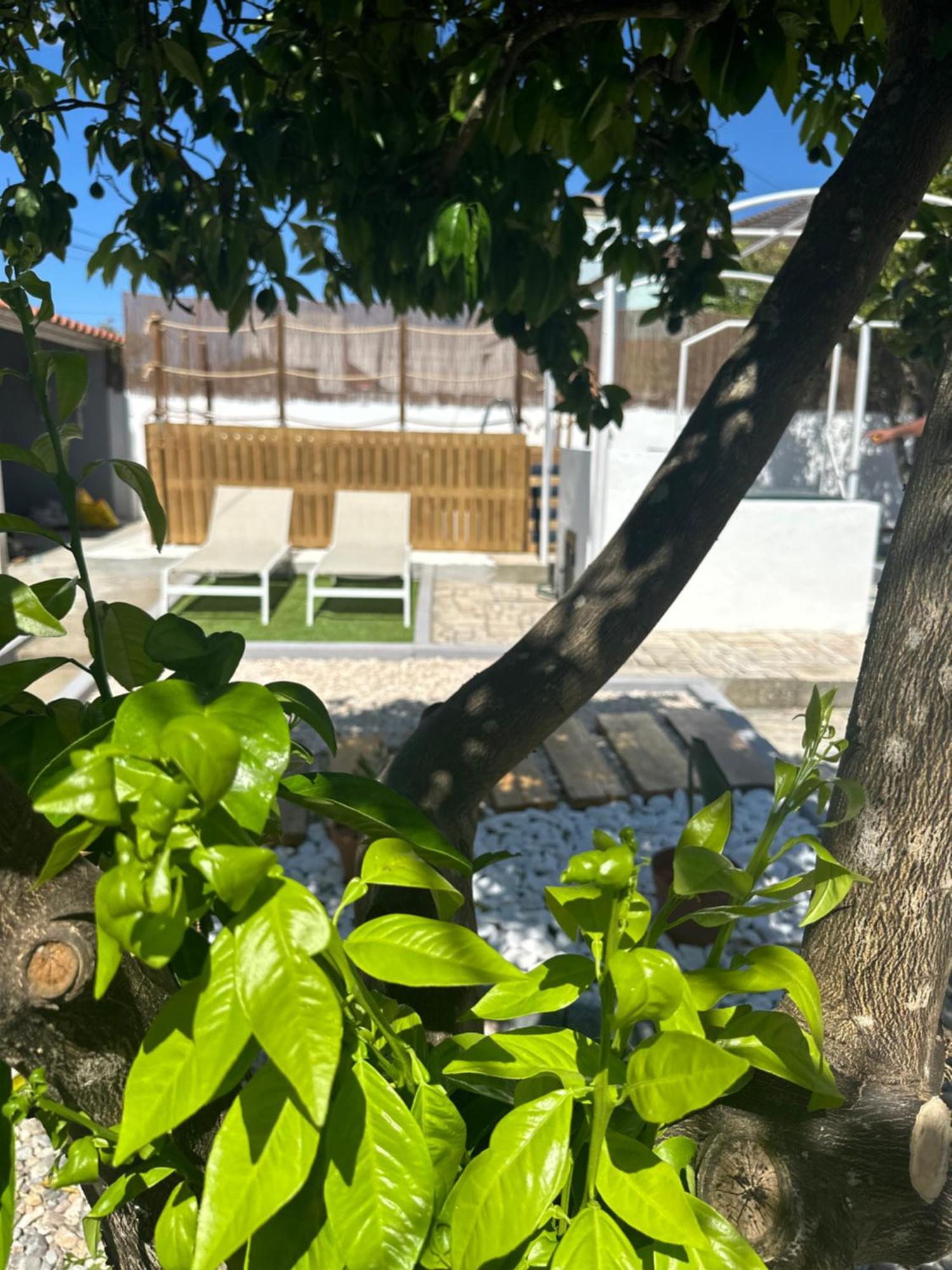 Casa Sulydance Βίλα Torrão Εξωτερικό φωτογραφία